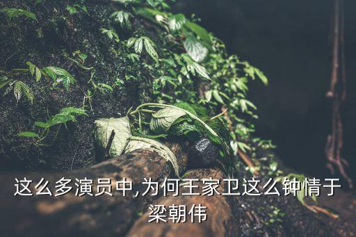 這么多演員中,為何王家衛(wèi)這么鐘情于梁朝偉