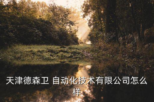 天津德森衛(wèi) 自動(dòng)化技術(shù)有限公司怎么樣