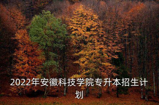 2022年安徽科技學(xué)院專升本招生計劃