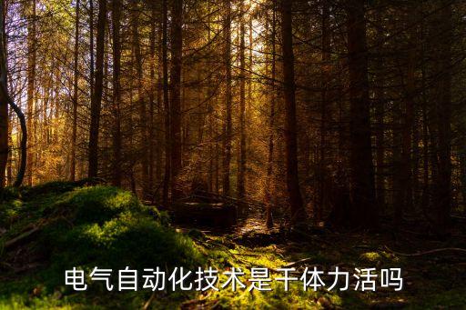 電氣自動化技術(shù)是干體力活嗎