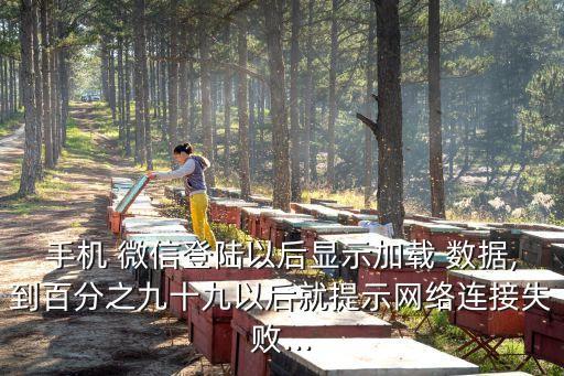 手機(jī) 微信登陸以后顯示加載 數(shù)據(jù),到百分之九十九以后就提示網(wǎng)絡(luò)連接失敗...