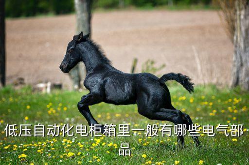 低壓自動(dòng)化電柜箱里一般有哪些電氣部品