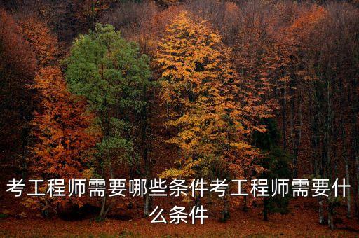 考工程師需要哪些條件考工程師需要什么條件