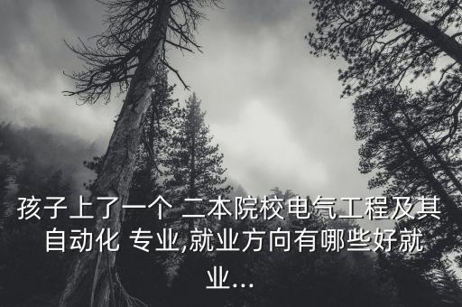 孩子上了一個 二本院校電氣工程及其 自動化 專業(yè),就業(yè)方向有哪些好就業(yè)...
