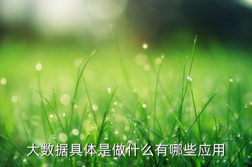 大數(shù)據(jù)具體是做什么有哪些應用