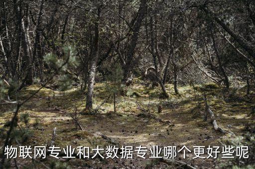 物聯(lián)網(wǎng)專業(yè)和大數(shù)據(jù)專業(yè)哪個更好些呢