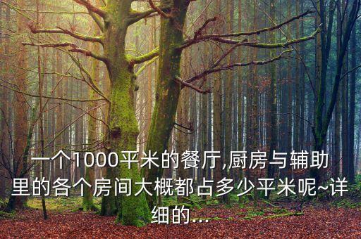 一個(gè)1000平米的餐廳,廚房與輔助里的各個(gè)房間大概都占多少平米呢~詳細(xì)的...