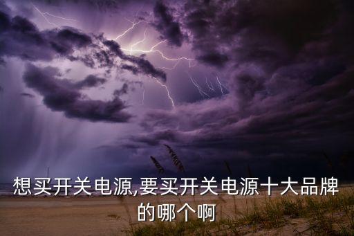 想買(mǎi)開(kāi)關(guān)電源,要買(mǎi)開(kāi)關(guān)電源十大品牌的哪個(gè)啊