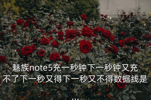 魅族note5充一秒鐘下一秒鐘又充不了下一秒又得下一秒又不得數(shù)據(jù)線是...