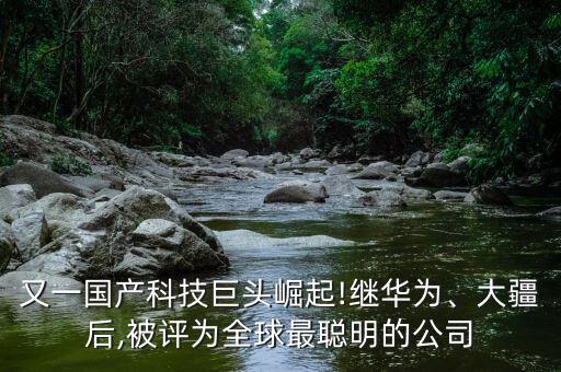 又一國(guó)產(chǎn)科技巨頭崛起!繼華為、大疆后,被評(píng)為全球最聰明的公司