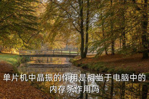 單片機(jī)中晶振的作用是相當(dāng)于電腦中的內(nèi)存條作用嗎