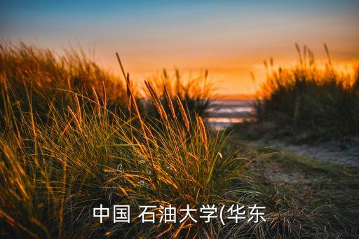 中石油招電氣工程與自動化,招電氣工程及其自動化研究生的學(xué)校