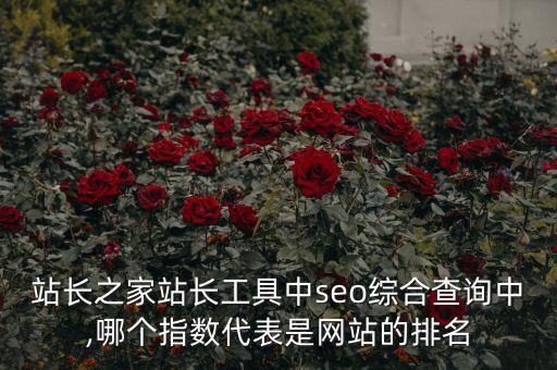 站長之家站長工具中seo綜合查詢中,哪個指數(shù)代表是網(wǎng)站的排名