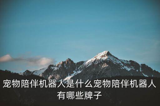 寵物陪伴機(jī)器人是什么寵物陪伴機(jī)器人有哪些牌子