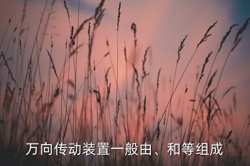 萬向傳動(dòng)裝置一般由、和等組成