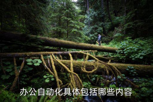 辦公自動化具體包括哪些內(nèi)容
