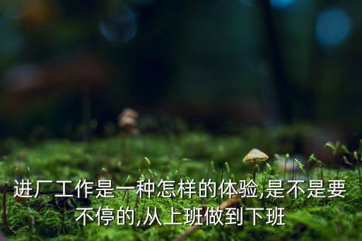 進(jìn)廠(chǎng)工作是一種怎樣的體驗(yàn),是不是要不停的,從上班做到下班