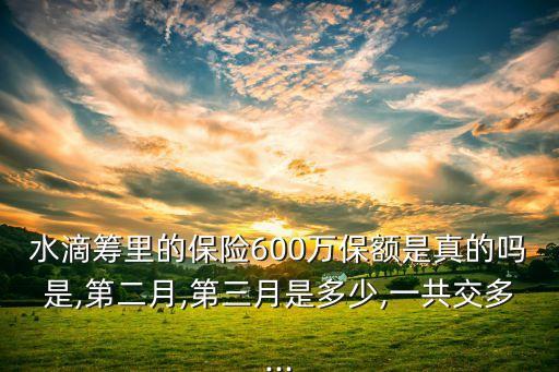 水滴籌里的保險(xiǎn)600萬(wàn)保額是真的嗎是,第二月,第三月是多少,一共交多...