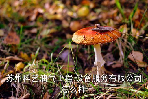 蘇州科藝油氣工程 設(shè)備服務(wù)有限公司怎么樣