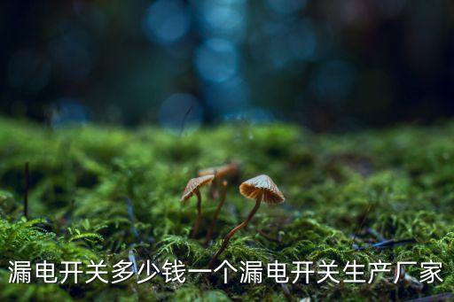 漏電開關多少錢一個漏電開關生產廠家