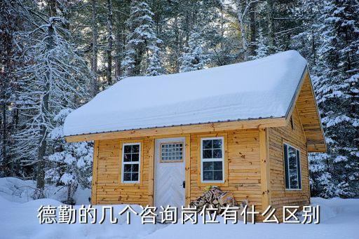 德勤數(shù)據(jù),德勤的咨詢崗位有何不同?