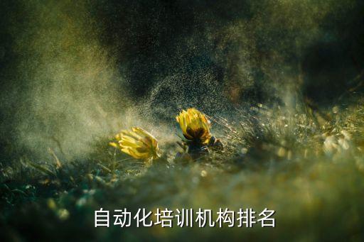  自動化培訓(xùn)機構(gòu)排名