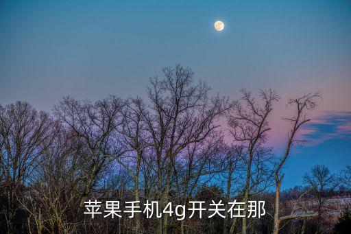 蘋果手機(jī)4g開關(guān)在那