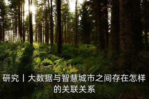 研究丨大數(shù)據(jù)與智慧城市之間存在怎樣的關(guān)聯(lián)關(guān)系