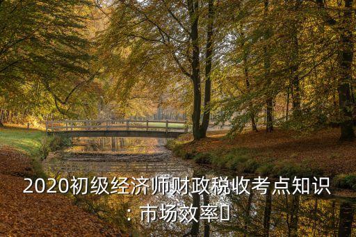 2020初級經(jīng)濟(jì)師財(cái)政稅收考點(diǎn)知識: 市場效率?