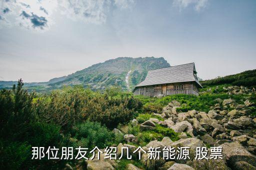 維科精華股票,奧特維科股票