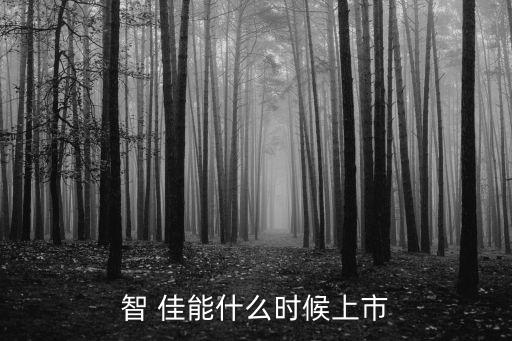 智 佳能什么時候上市