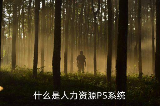 什么是人力資源PS系統(tǒng)