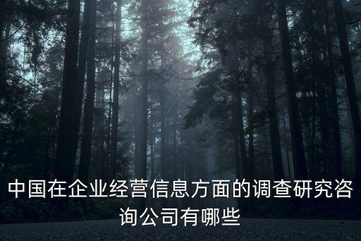 中國在企業(yè)經(jīng)營信息方面的調查研究咨詢公司有哪些