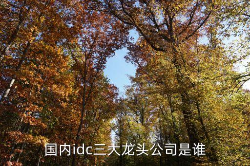 國內(nèi)idc三大龍頭公司是誰