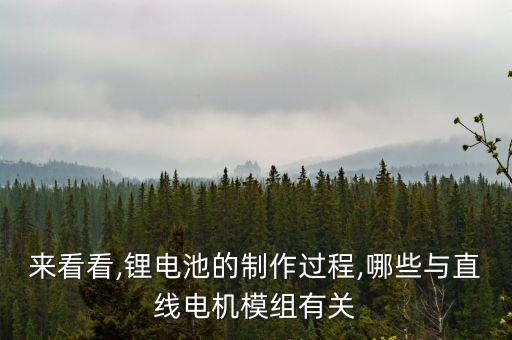 自動(dòng)化設(shè)備疊片機(jī),中文名自動(dòng)化設(shè)備概況