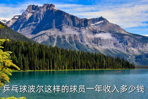 乒乓球波爾這樣的球員一年收入多少錢(qián)