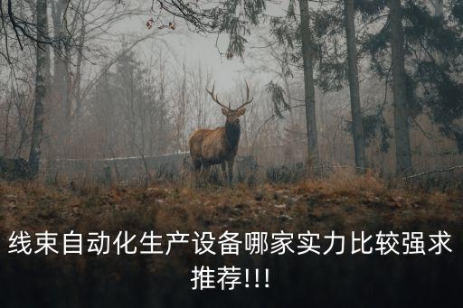 線束自動化生產(chǎn)設(shè)備哪家實力比較強(qiáng)求推薦!!!