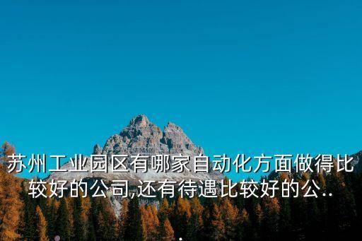 蘇州工業(yè)園區(qū)有哪家自動(dòng)化方面做得比較好的公司,還有待遇比較好的公...