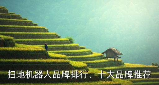 掃地機(jī)器人品牌排行、十大品牌推薦