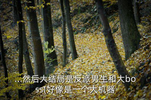 ...然后大結(jié)局是反派男生和大boss(好像是一個大機器