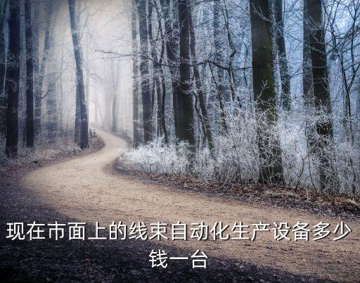鄭州線扣自動化設(shè)備,非標(biāo)自動化設(shè)備有哪些?專業(yè)化生產(chǎn)!