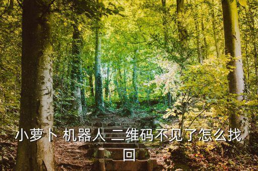 小蘿卜 機器人 二維碼不見了怎么找回