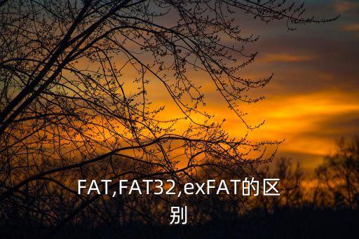 FAT,FAT32,exFAT的區(qū)別