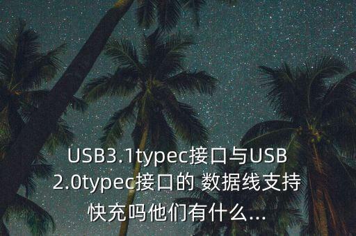USB3.1typec接口與USB2.0typec接口的 數(shù)據(jù)線支持快充嗎他們有什么...