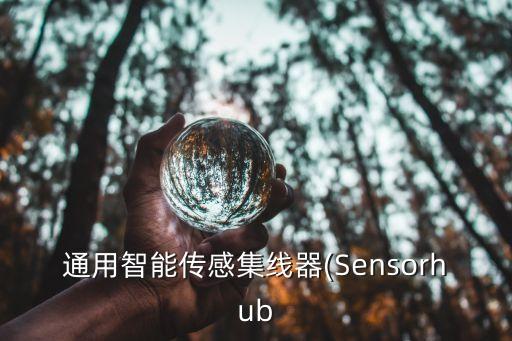 通用智能傳感集線器(Sensorhub