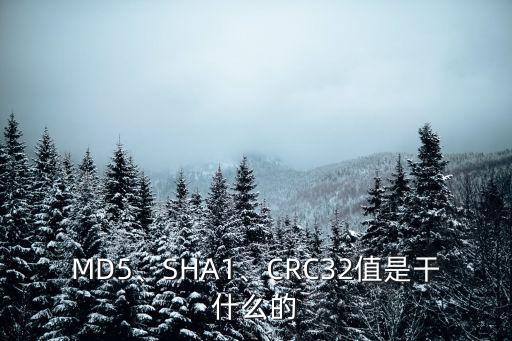 MD5、SHA1、CRC32值是干什么的