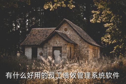 有什么好用的員工績效管理系統(tǒng)軟件