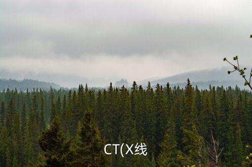 CT(X線