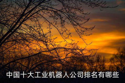 中國十大工業(yè)機(jī)器人公司排名有哪些
