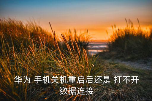 華為 手機(jī)關(guān)機(jī)重啟后還是 打不開 數(shù)據(jù)連接
